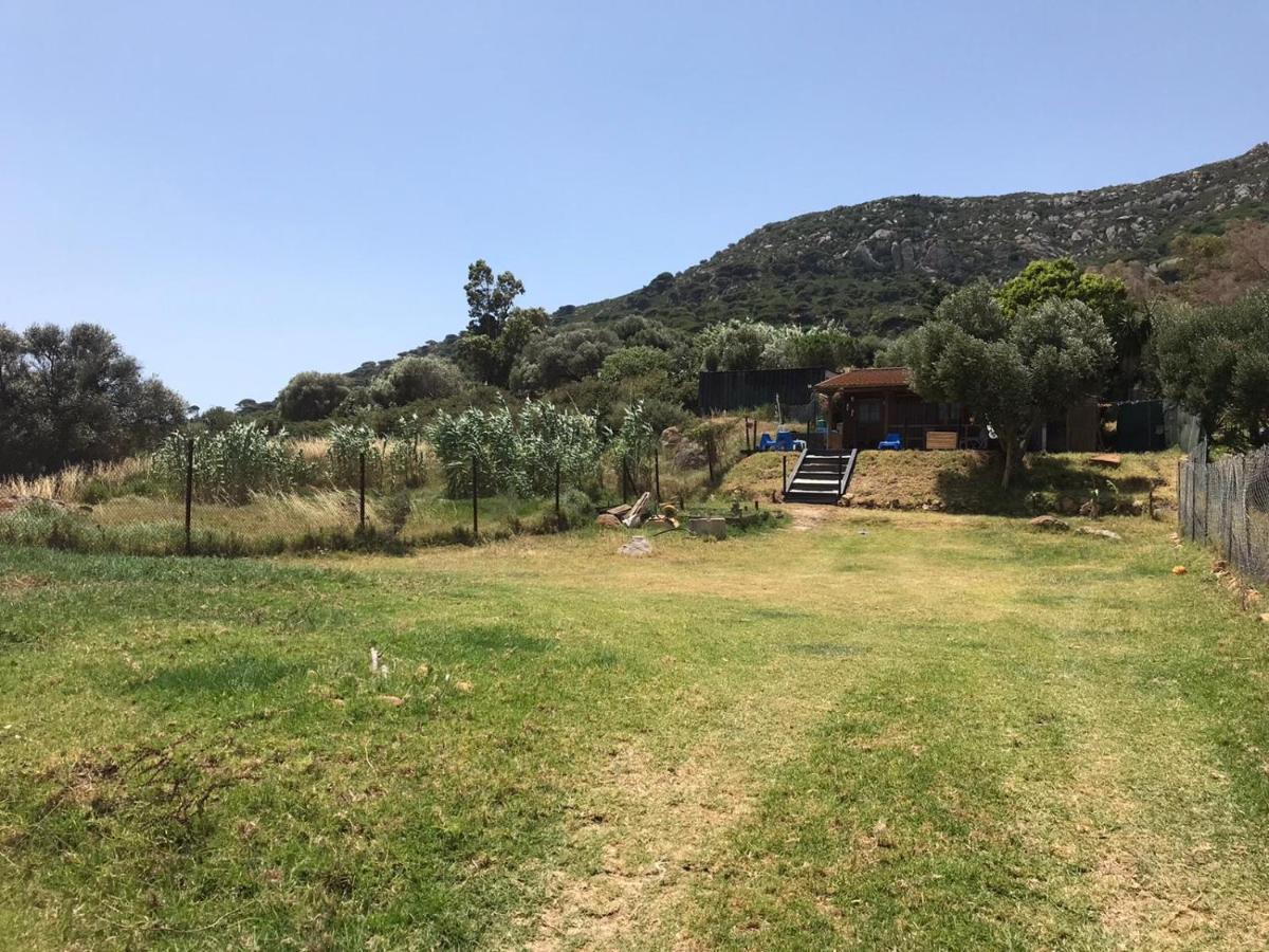 Rustic Cabin Tarifa 4 Guests 10 Minutes To Beach Dış mekan fotoğraf