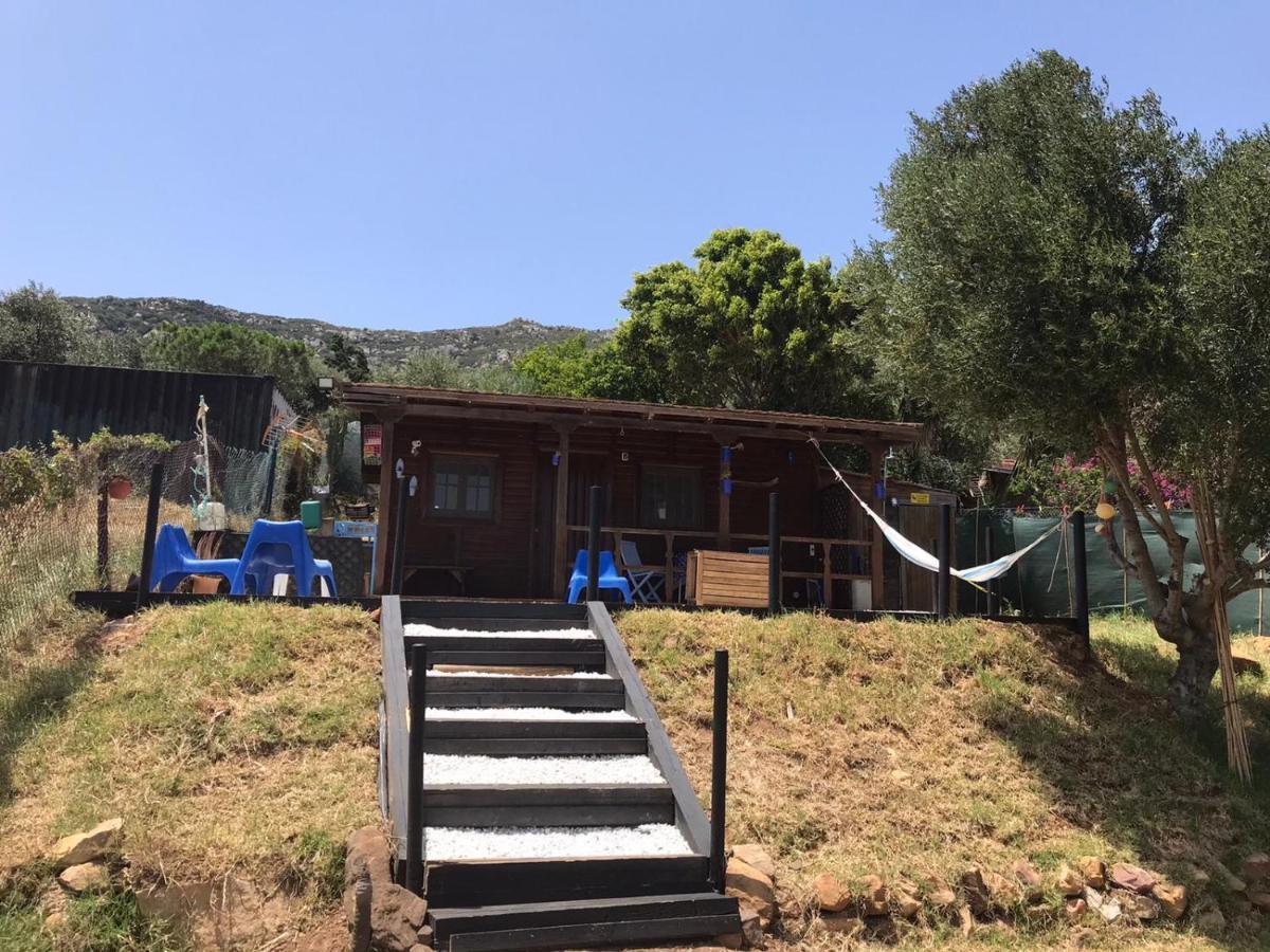 Rustic Cabin Tarifa 4 Guests 10 Minutes To Beach Dış mekan fotoğraf