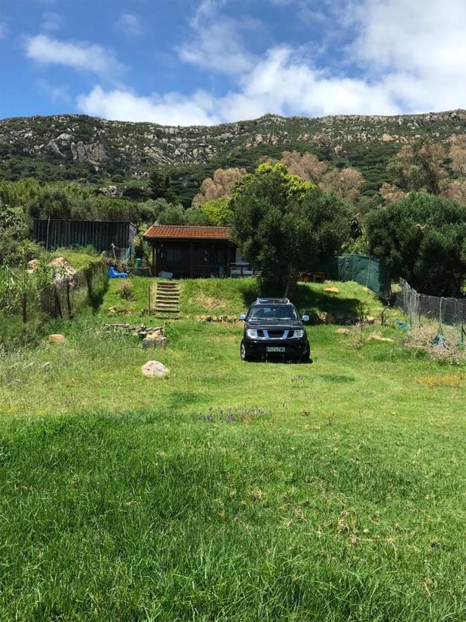 Rustic Cabin Tarifa 4 Guests 10 Minutes To Beach Dış mekan fotoğraf