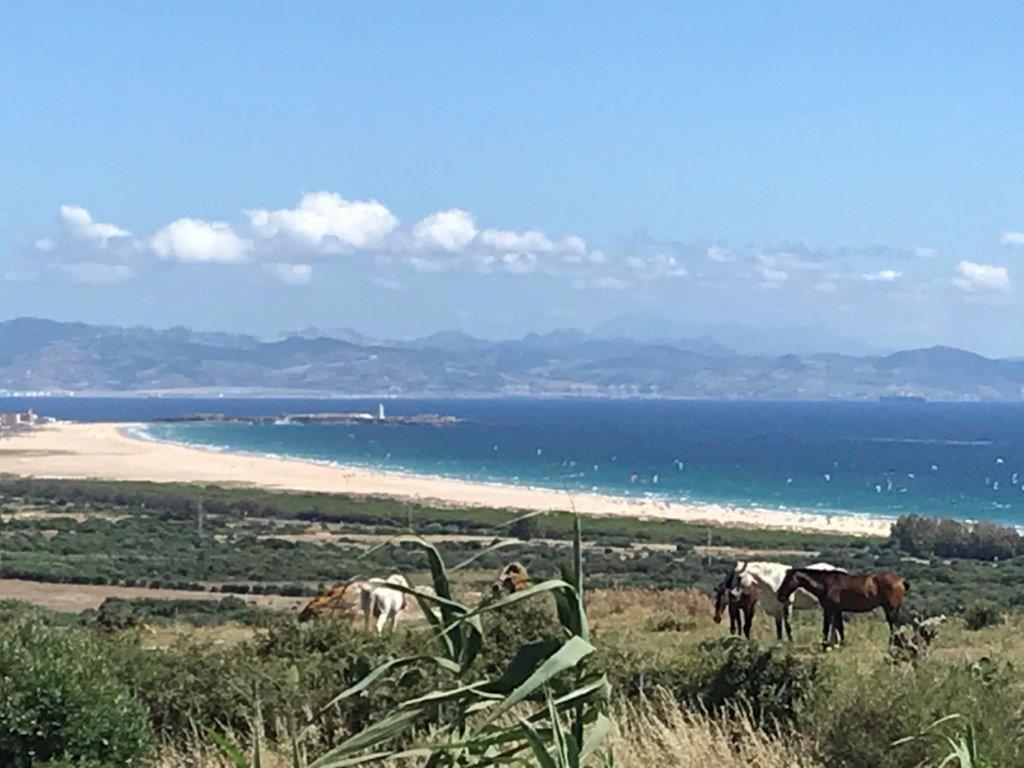 Rustic Cabin Tarifa 4 Guests 10 Minutes To Beach Dış mekan fotoğraf