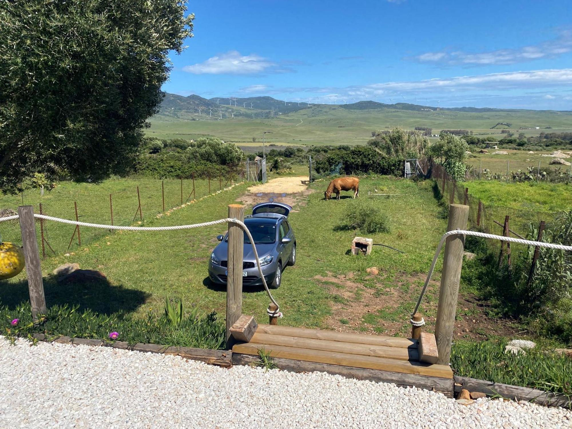 Rustic Cabin Tarifa 4 Guests 10 Minutes To Beach Dış mekan fotoğraf